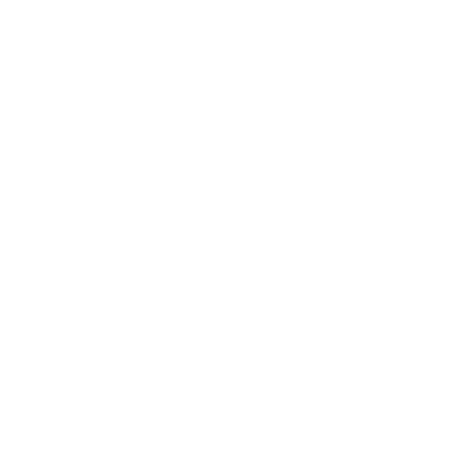 Painter & Decorator Swansea